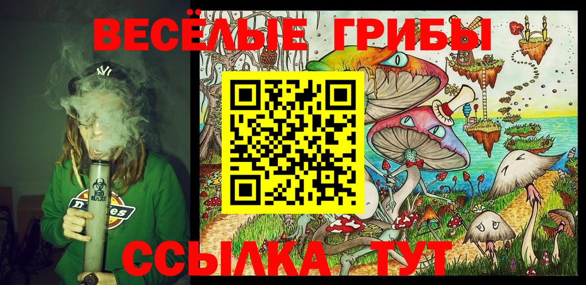 Псилоцибиновые грибы Psilocybe  Вход с VPN  Сланцы 