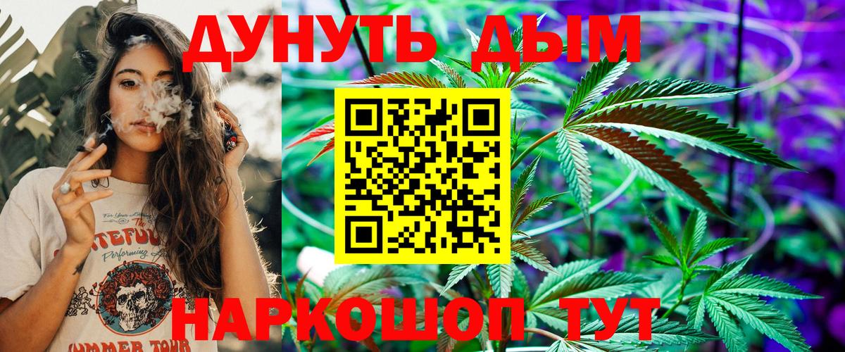 Бошки марихуана семена Сланцы